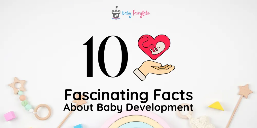 10 Fascinating Facts About Baby Development in the Womb