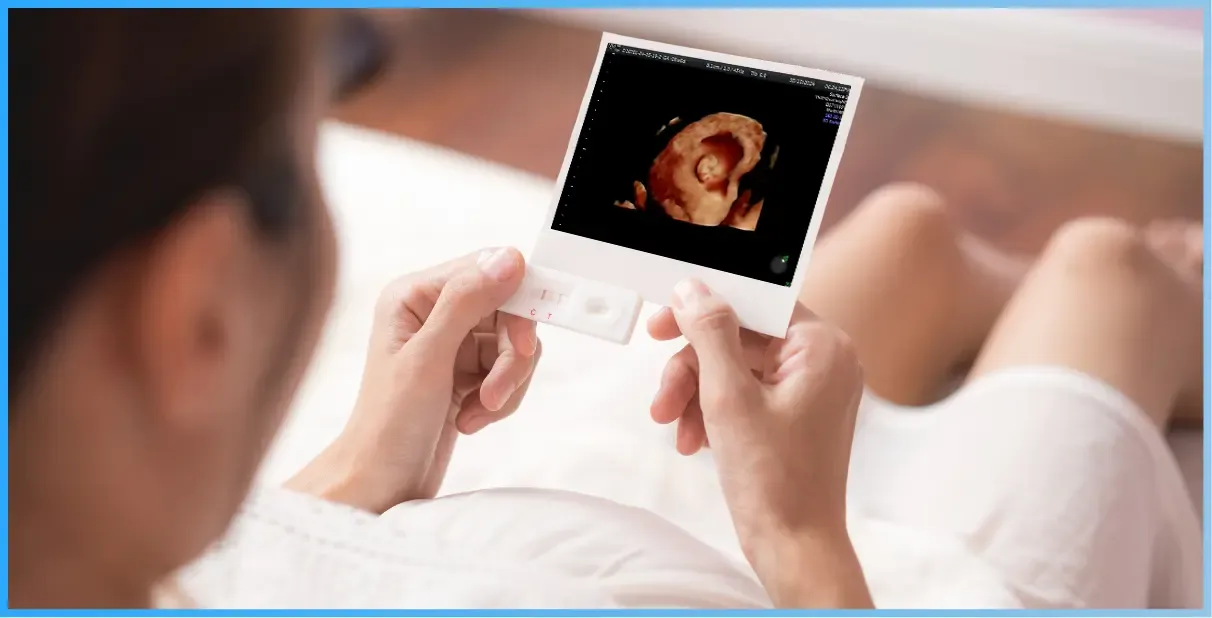 Early Pregnancy Ultrasound